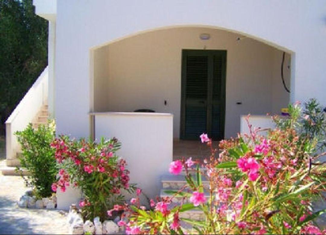 Villa Rinaldi Apartment Vieste Dış mekan fotoğraf