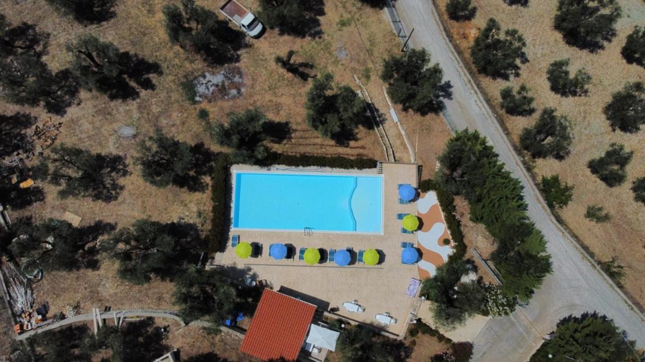 Villa Rinaldi Apartment Vieste Dış mekan fotoğraf